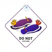 DiveIspire Car Sign- Do Not Disturb