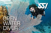 SSI 开放水域潜水员
