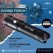 D6-SKYWOODS Diving Flashlight 2000