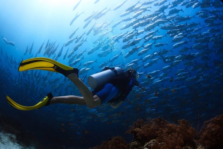 Advanced Adventure Dives Deep, Wreck, Night & Navigation