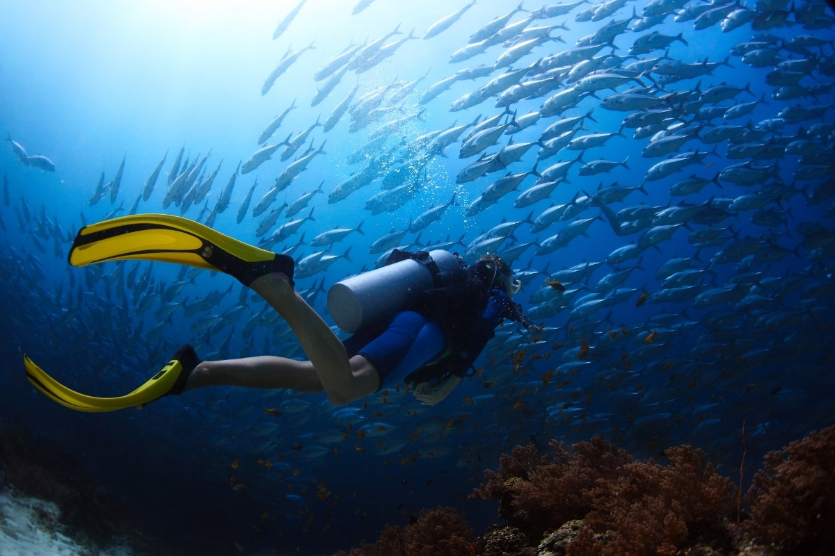 Advanced Adventure Dives Deep, Wreck, Night & Navigation