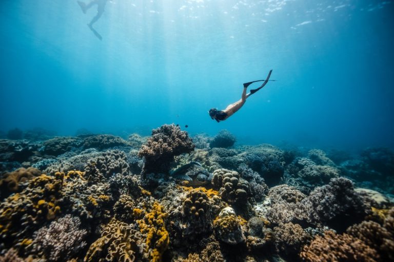 Dive Travel in Asia & Beyond