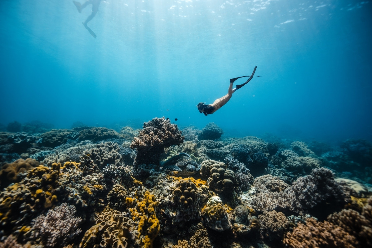 Dive Travel in Asia & Beyond