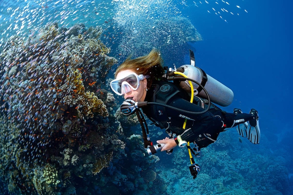 Health & Safety Updates for Dive Centers