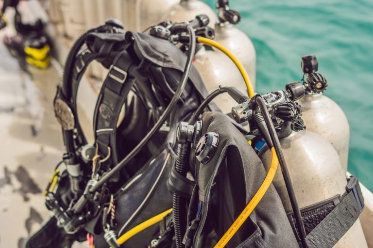 How to Choose the Right BCD (vs. Backplate)