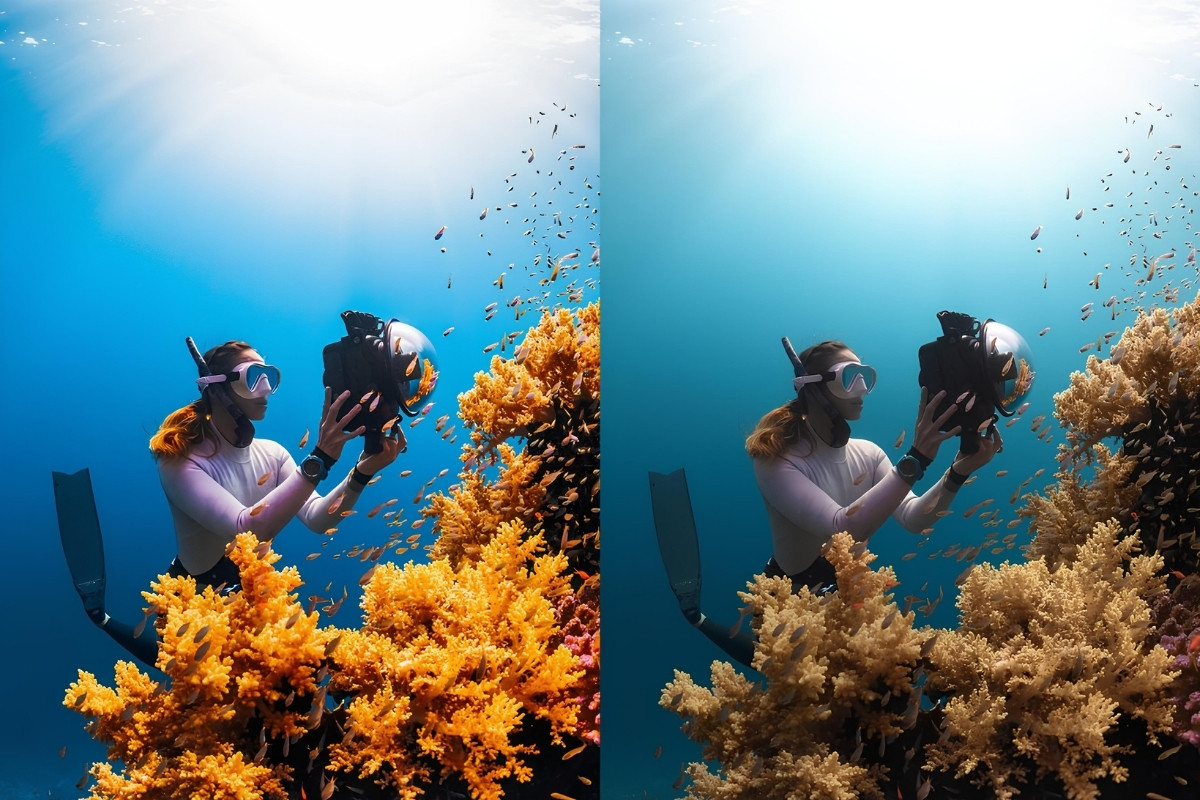 Post‑Processing Tips for Underwater Images (Lightroom & Photoshop)