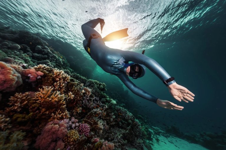 Snorkeling & Freediving Essentials