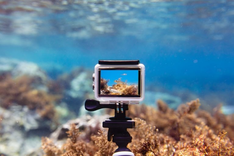 Top 5 Compact Cameras for Divers in 2025