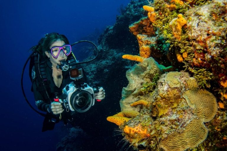Underwater Photography Techniques